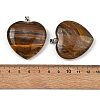 Natural Tiger Iron Pendants GG-K002-12A-14-3