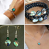 12Pcs 2 Styles Natural Abalone Shell/Paua Shell Beads SHEL-TA0001-41-7