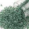 TOHO Round Seed Beads SEED-XTR08-1070-1