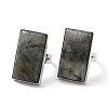 Adjustable Rectangle Natural Labradorite Brass Rings RJEW-N024-01A-2