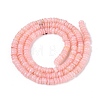 Natural Freshwater Shell Beads Strands SHEL-Q028-01D-2