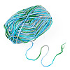 Light Gradient Segment Dyed Polyester Yarn DIY-TADJ0002-005J-3