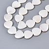 Electroplate Natural Shell Beads Strands BSHE-Q034-003D-3