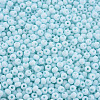 6/0 Glass Seed Beads SEED-T005-14-B19-3