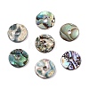 Natural Paua Shell Donut/Pi Disc Charms SHEL-T020-11-1