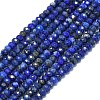 Natural Lapis Lazuli Beads Strands G-G106-A01-01-1