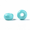 6/0 Glass Seed Beads SEED-S058-A-F437-5