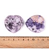 Natural Lepidolite Thumb Worry Stone X-G-N0325-01D-01-3