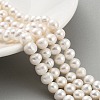 Natural Cultured Freshwater Pearl Beads Strands PEAR-C003-18E-2