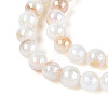 AB Color Natural Freshwater Shell Beads Strands BSHE-T014-40D-3