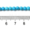 Dyed Natural Magnesite Beads Strands G-Q181-B01-01-5