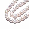 Natural Cultured Freshwater Pearl Beads Strands PEAR-N012-06C-4