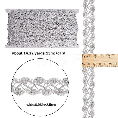 13M Metallic Braided Lace Trim SRIB-WH0011-062A-1