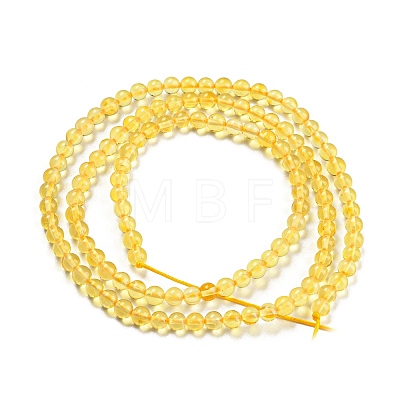 Natural Amber Beads Strands G-L584-02-01-1