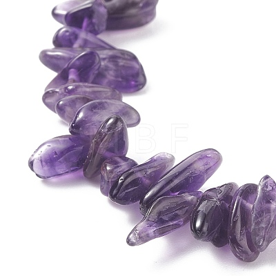 Natural Amethyst Chip Beaded Necklace NJEW-JN03824-03-1