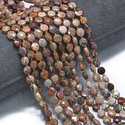 Natural Bloodstone Beads Strands G-K389-B59-01-1