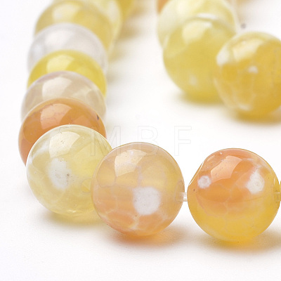 Dyed Natural Fire Crackle Agate Beads Strands X-G-Q462-127D-8mm-1