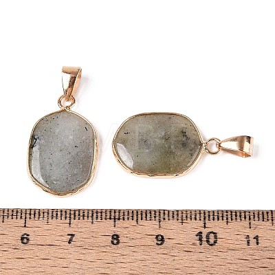 Natural Labradorite Pendants G-N349-04E-G-1