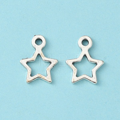 Tibetan Style Alloy Charms LF10686Y-1