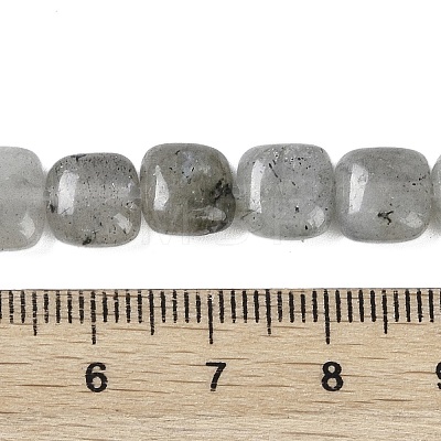 Natural Labradorite Beads Strands G-M435-A11-01-1