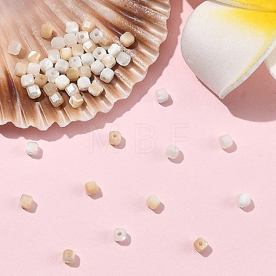 60Pcs 2 Colors Natural Trochid Shell/Trochus Shell Beads BSHE-YW0001-24-1