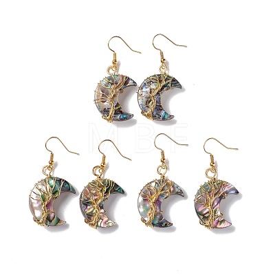 Natural Paua Shell Crescent Moon Dangle Earrings EJEW-G307-01G-1