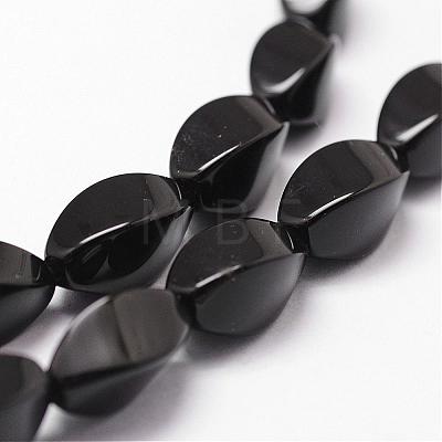 Natural Black Onyx Beads Strands G-P161-07-12x6mm-1