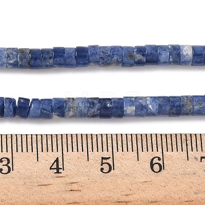 Natural Sodalite Beads Strands G-P468-19-1