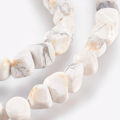 Natural Howlite Chips Beads Strands G365-34-1