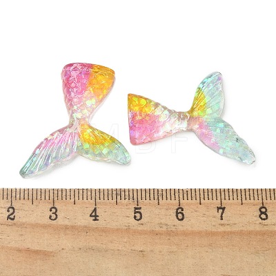 Resin Cabochons RESI-R456-02B-1