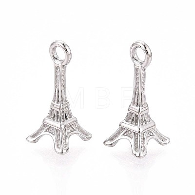 304 Stainless Steel Pendants STAS-N109-258P-1