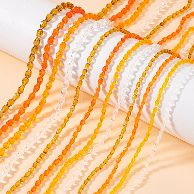 24 Strands 12 Styles Transparent Faceted Glass Beads GLAA-WR0001-04-1