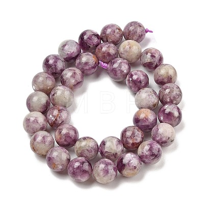 Natural Lepidolite/Purple Mica Stone Beads Strands G-G160-A01-03-1