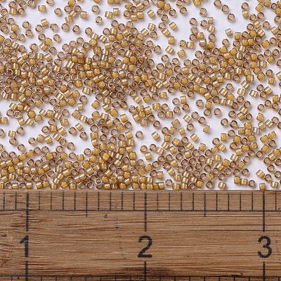 MIYUKI Delica Beads SEED-J020-DB2043-1