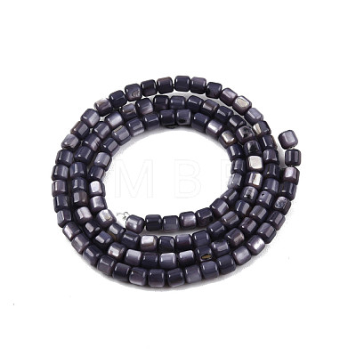 Natural Freshwater Shell Beads Strands SHEL-N003-33-A01-1