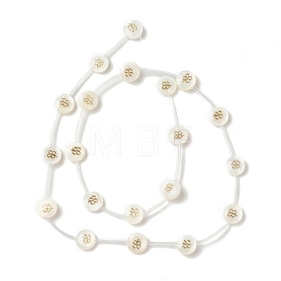 Natural Freshwater Shell Beads Strands BSHE-B005-13A-1