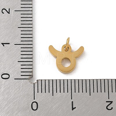 304 Stainless Steel Charms LS-STAS-R001-04G-02-1