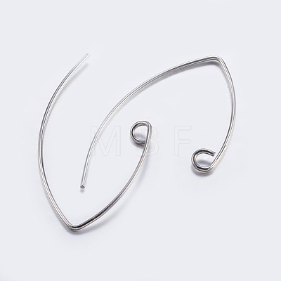 Brass Earring Hooks KK-K197-60-1
