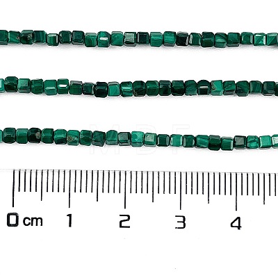 Natural Malachite Beads Strands G-C009-B24-01-1