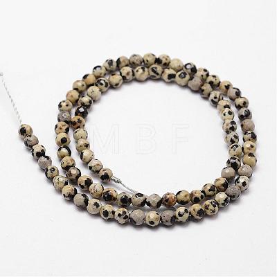 Natural Dalmatian Jasper Beads Strands G-D840-49-4mm-1