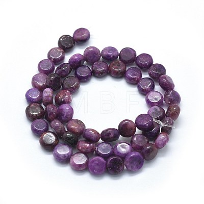 Natural Lepidolite/Purple Mica Stone Beads Strands G-F626-03-1