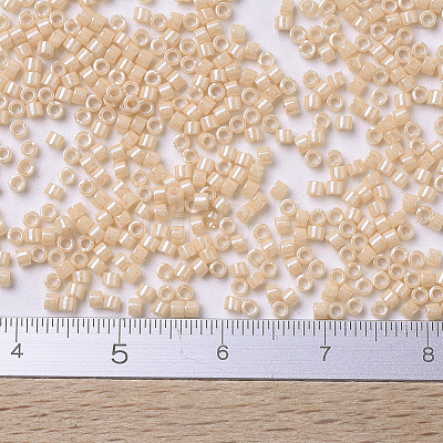MIYUKI Delica Beads Small X-SEED-J020-DBS0205-1