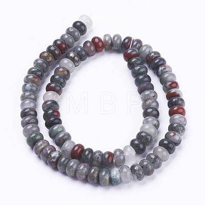 Natural Bloodstone Beads Strands G-F520-07-1
