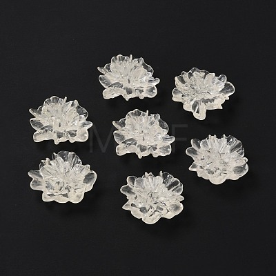 Transparent Resin Cabochons RESI-G027-01A-1