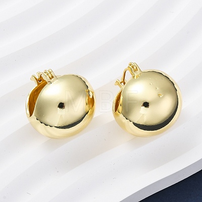Brass Hoop Earrings EJEW-D273-01G-1