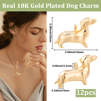 12Pcs Brass Charms KK-BBC0028-31-1