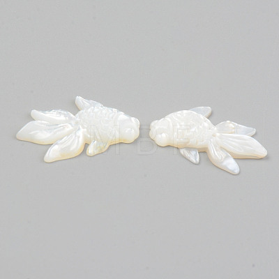 Natural White Shell Mother of Pearl Shell Beads SHEL-T017-17-1