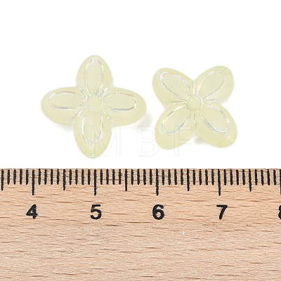 Frosted Transparent Acrylic Beads OACR-P029-09B-03-1