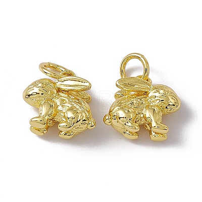 Rack Plating Brass Charms X-KK-C007-17G-1
