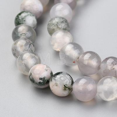 Natural Tree Agate Beads Strands G-I199-03-6mm-1